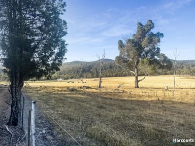 Property Lot 1, Rosedale Road, BICHENO TAS 7215 IMAGE 0