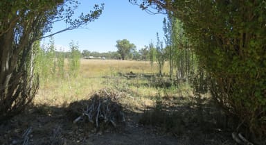 Property 7 Griffith Street, Greenethorpe NSW 2809 IMAGE 0