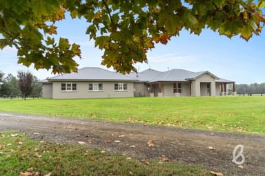 Property 1401 Bridgman Road, Singleton NSW 2330 IMAGE 0