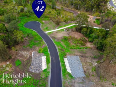 Property 42, 2558 Beaudesert-Nerang Road, CANUNGRA QLD 4275 IMAGE 0