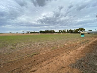 Property 1 Arbon Road, Bute SA 5560 IMAGE 0
