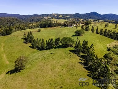 Property 37-39 East Evelyn Road, Millaa Millaa QLD 4886 IMAGE 0