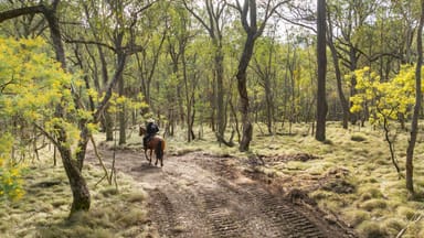 Property . Firebrace Track, BULLIOH VIC 3700 IMAGE 0