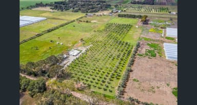 Property 1659 Boundary Road, Gawler River SA 5118 IMAGE 0
