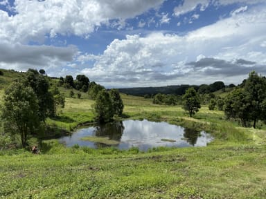 Property 11 Talbot Close, Mcleans Ridges NSW 2480 IMAGE 0