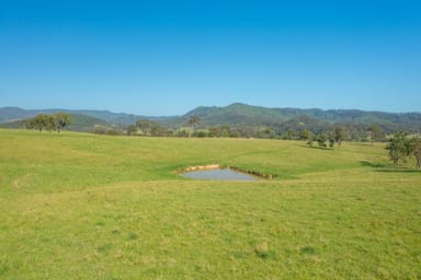 Property 785 Toms Creek Road, ELLENBOROUGH NSW 2446 IMAGE 0