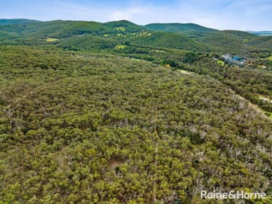 Property Lot 51 Princess Street, RIDDELLS CREEK VIC 3431 IMAGE 0