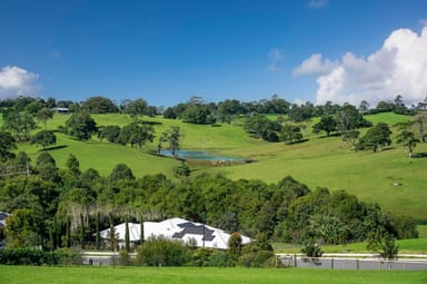 Property Lot 115 Tallowwood Street, Maleny QLD 4552 IMAGE 0
