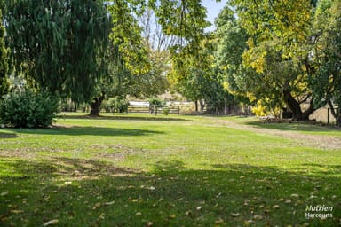 Property 155 Belle Vue Road, Epping Forest TAS 7211 IMAGE 0