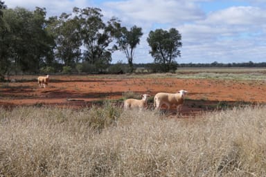 Property 10049 Mitchell Highway West, Coolabah NSW 2831 IMAGE 0