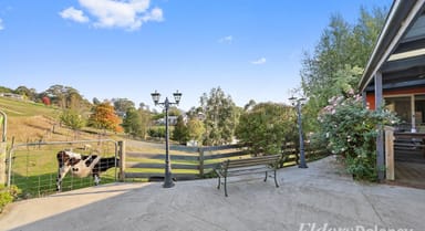 Property 24 McDougal Road, Neerim South VIC 3831 IMAGE 0