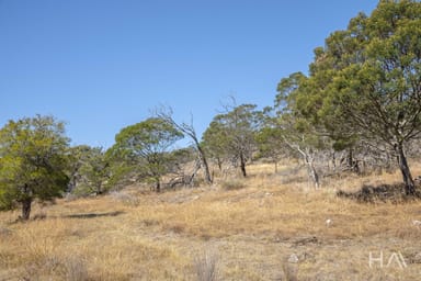 Property 20 Solis Rise, Swan Bay TAS 7252 IMAGE 0