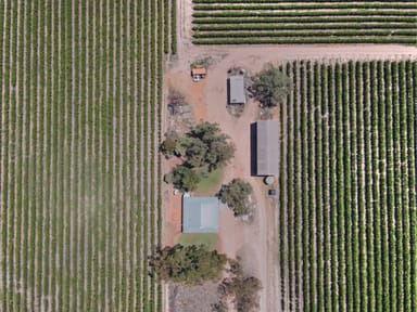 Property 32 Plushsbend Road, Renmark SA 5341 IMAGE 0