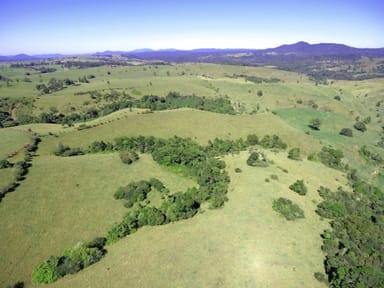 Property Millaa Millaa QLD 4886 IMAGE 0