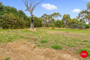 Property 1431 Bendigo-Sutton Grange Road, Sutton Grange VIC 3448 IMAGE 0