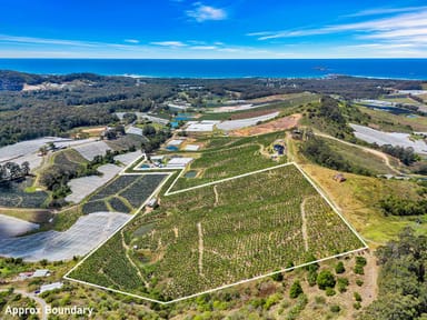 Property Lot 3 Puhos Road, SANDY BEACH NSW 2456 IMAGE 0