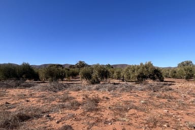 Property Lot 201 Muster Drive, Napperby SA 5540 IMAGE 0