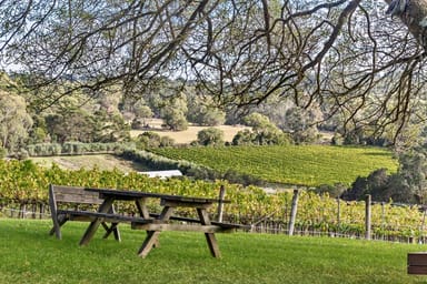Property 37 Shoreham Road, Red Hill VIC 3937 IMAGE 0