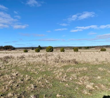 Property 50A Balls Road, Raglan VIC 3373 IMAGE 0