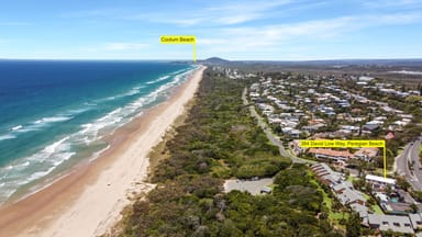 Property 384 David Low, Peregian Beach QLD 4573 IMAGE 0