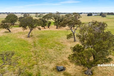 Property 127 Kentish Road, Mingbool SA 5291 IMAGE 0