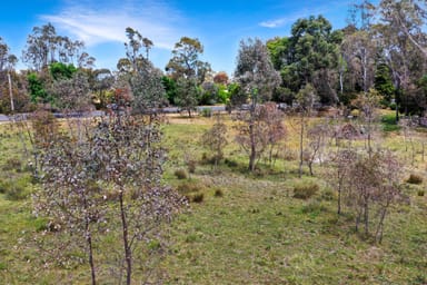 Property CA 109 & CA 187 MAIN STREET, Great Western VIC 3374 IMAGE 0