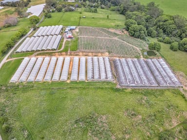 Property 289 Mardells Road, Bucca NSW 2450 IMAGE 0