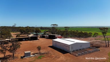 Property 5670 Soldiers Road, Narembeen WA 6369 IMAGE 0