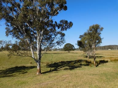 Property 243 Mount Darragh Rd, South Pambula NSW 2549 IMAGE 0