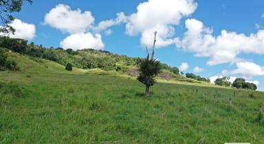 Property 99 Hunt Road, Peeramon QLD 4885 IMAGE 0