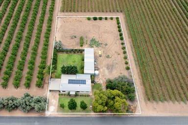 Property 107 Twentyseventh Street, Renmark SA 5341 IMAGE 0
