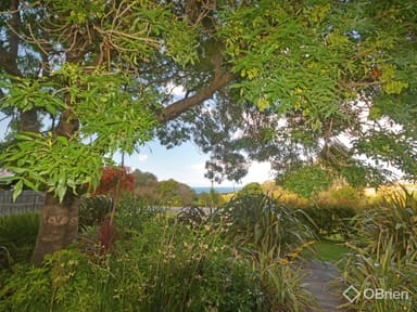 Property 105 Lake Bunga Beach Road, Lake Bunga VIC 3909 IMAGE 0