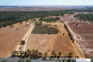 Property 9 The Mcgrane Way, TULLAMORE NSW 2874 IMAGE 0