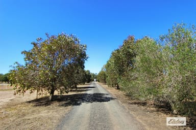 Property 53 Nixons Road, Shelbourne VIC 3515 IMAGE 0
