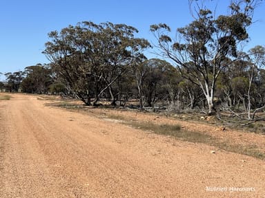 Property . Parker Range Road, Moorine Rock WA 6425 IMAGE 0