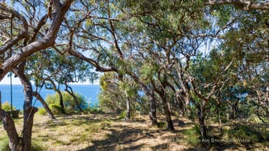 Property 101 Bloodwood Avenue South, AGNES WATER QLD 4677 IMAGE 0