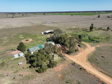 Property 'West Tarrawonga' 56 Donnelly Road, EUMUNGERIE NSW 2822 IMAGE 0