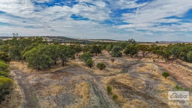 Property 29574 & 29 Spencers Brook Road, Spencers Brook WA 6401 IMAGE 0