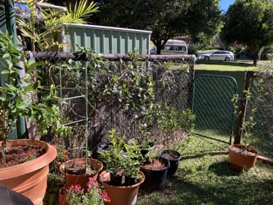 Property 2/13 Hakea Avenue, MALENY QLD 4552 IMAGE 0