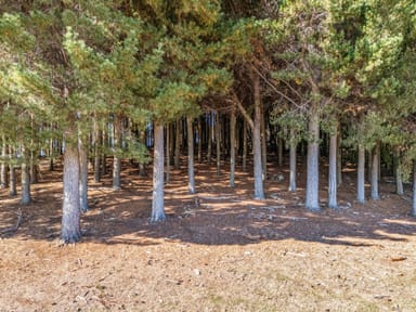Property 265 Cradle Mountain Road, Wilmot TAS 7310 IMAGE 0