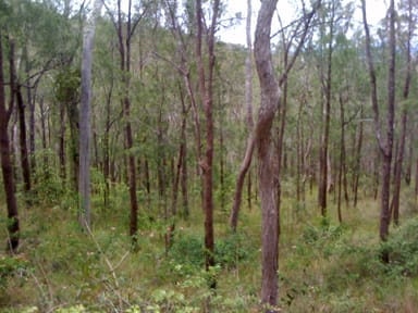 Property UPPER BARRON QLD 4883 IMAGE 0