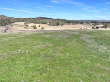 Property 60 Bucky Springs Road, BOMBALA NSW 2632 IMAGE 0