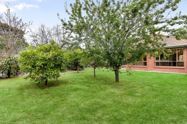 Property 21 Ivy Street, Hampton VIC 3188 IMAGE 0