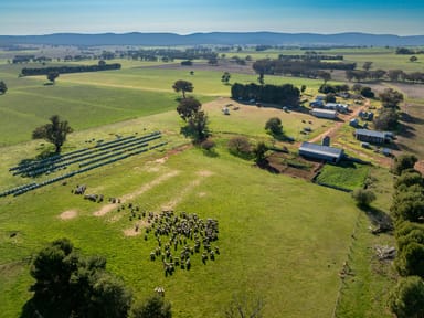 Property 501 Mandagery Road, Mandagery NSW 2870 IMAGE 0