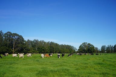 Property 282 Newtons Road, DUMARESQ ISLAND NSW 2430 IMAGE 0
