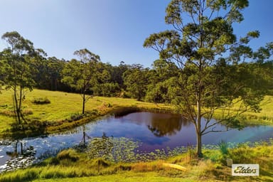 Property 811 Newmans Road, Topi Topi NSW 2423 IMAGE 0