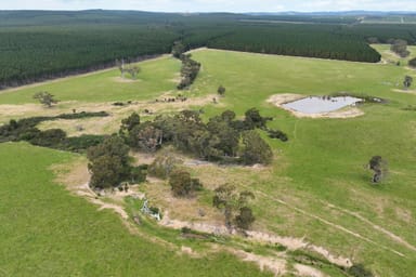 Property Lot 1 & 2 Rosedale-Flynns Creek Road, FLYNN VIC 3844 IMAGE 0