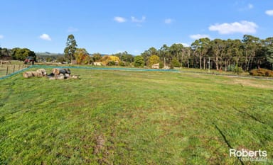 Property 60 Latrobe Road, Railton TAS 7305 IMAGE 0