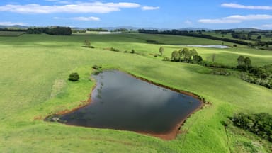 Property 64 Darley And Bains Road, DORRIGO NSW 2453 IMAGE 0