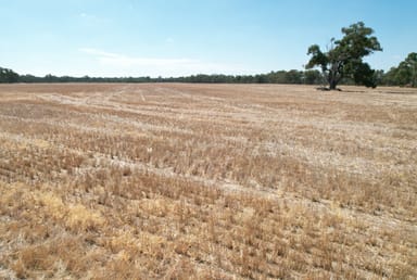 Property Kurting-Powlett Road, POWLETT PLAINS VIC 3517 IMAGE 0